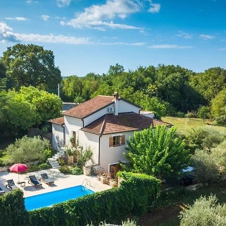 Villa Mimosa Novigrad Istria Exterior foto