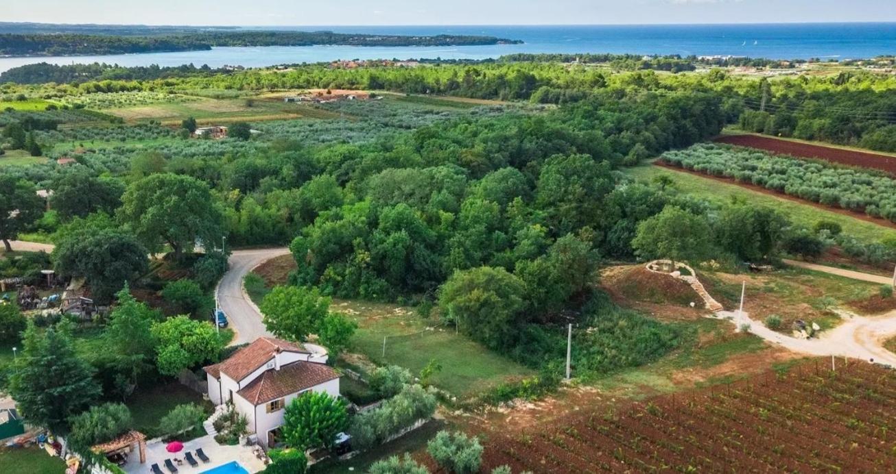 Villa Mimosa Novigrad Istria Exterior foto